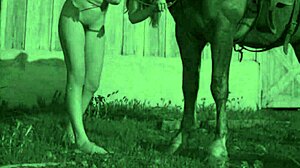 El porno vintage tabú está siendo follado en un equus peludo