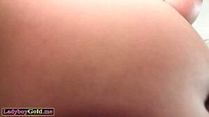 Chubby ladyboy teen riding bareback on lovers cock