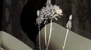 Retro Vintage Antique Halloween With Natural Tits And Hairy Elements