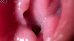 特写小穴张开伴随脏话动作