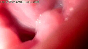 Close Up Pussy Spreading with Dirty Talk Action