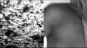 gurgaon babe sucking her client's big cock in the office