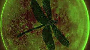 Lesbian Group Banging Hairy Pussy in Retro Gangbang