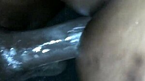 Extreme Doggy Action with Intense Creaming