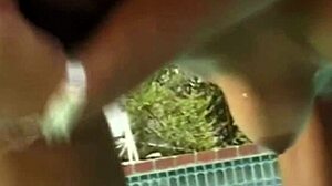 Black Babe Plays With Her Hairy Pussy Outdoors Using Toys