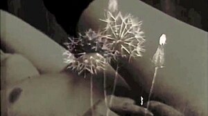 have you heard the erotic confessions of this victorian english gentleman on his sea voyage? it's so provocative!