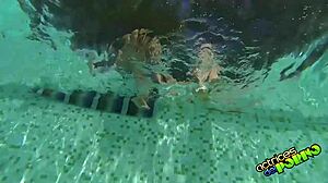 Brunette Blowjob Casting In The Pool With Cumshot.