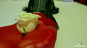 Look at mistress legs in nylons teasing foot fetish!