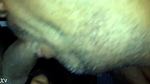 Fuck ebony cock hard!