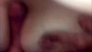 bj handjob doggy cum in mouth on big tits