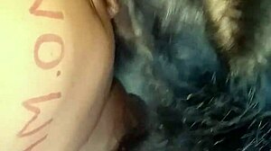 Pampaboudi Gives Husband Intense Blowjob!