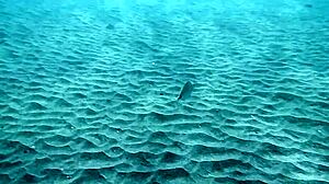 tenerife girls underwater lesbians bathing, what are they doing?