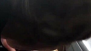 Seductive Blowjob in the Car's Intimate Space