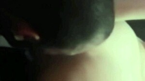 In this homemade scene, a cute blonde milf squirts and gets fucked bent over passionately with wet pussy