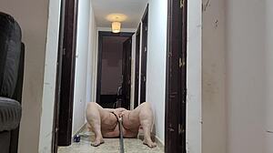 Coolmarina, the wild mature, gets down and dirty on the floor