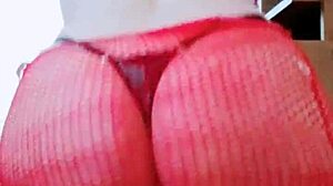 Cristy performs a nice dance for amateurs