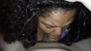 black bbw sucking a white dick