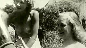 Dark Lantern Entertainment Presents Vintage Beauty And The Beast