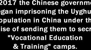 哇！你能处理 Tampa 医生与 Alexandria Wu 的秘密集中营再教育吗？