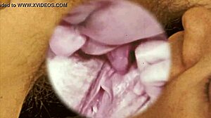 i love vintage cunnilingus