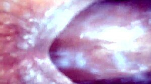 Interracial couple in doggy style position