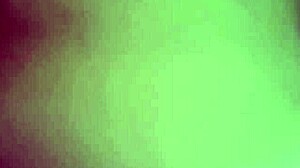 She starts with blowjob then gets ass fucked