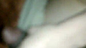 Interracial couple in doggy style position