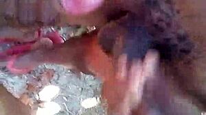 Gay Video Mov 0434 From Collection