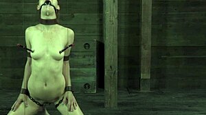 Gagged Beauty with Small Tits Gets Dominated!