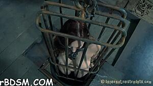 Lovable Beauty Dildos Her Wet Pussy