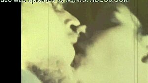 Dark Lantern Entertainment Presents The Dragonfly In Vintage Style