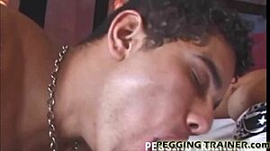 Cholera, twoja biała dupa bierze brutalne walenie straponem!