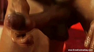 Detailed Workout Exercises for Gay Lovers Participating Actively