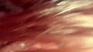 Wifey giving the best head to her