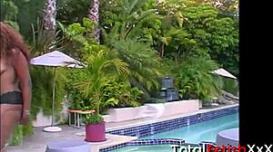 angel eyes lady armani