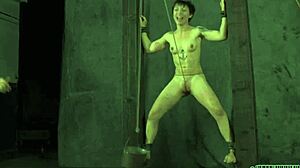 Exploring free sadomasochism erotica stories and themes in depth