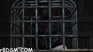 The muzzled playgirl endures intense femdom taming with sucking and bondage.