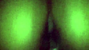 She Rides The Dick Like A Pro