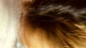 Redhead teen sucks three cocks in blowjob compilation with Romulo Pontes