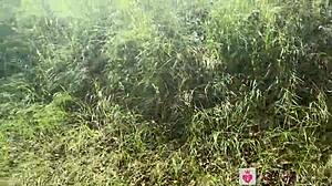 She showed her face in real forest sex blowjob with old man 😍