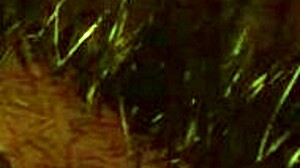 shannon's wild party turns rough with anal and interracial fun