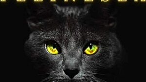 Hey, let's fuck my pussy on that chair 😏