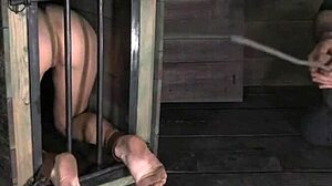 babe gets lusty muff prodding with toys and blowjob