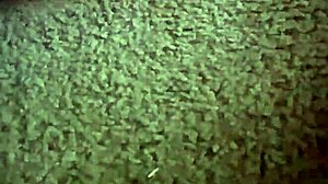 Ebonys black pussy gets fucked by hard cock