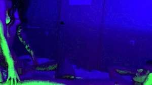 Bitch Monica Wild fucked in ass? Yes!