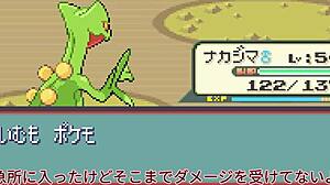 Slow Commentary on Sapphire with All Pokemon Appearing Part 17