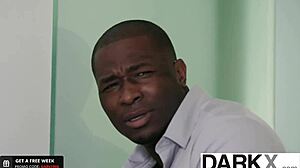 Pieni 18+ nälkäinen vaalea Chloe Cherry saa pillunsa paukutettua isolla mustalla kullilla doggystylessä ja cowgirlissa.