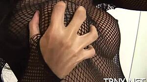 Tranny Porn Vids Featuring Shemale Hardcore Blowjob And Transsexual Action