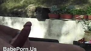 Blonde Babe's Outdoor Bikini Blowjob Session