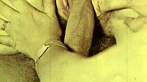 Explorando Pornografia Vintage com Aventuras de Menage Peludo no Estilo Retrô